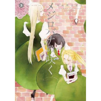 Seven Seas White rose in bloom v03 | v03
