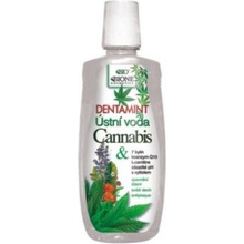 Bione Cosmetics Dentamint ústna voda Cannabis 500 ml