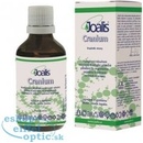 Joalis Cranium 50 ml