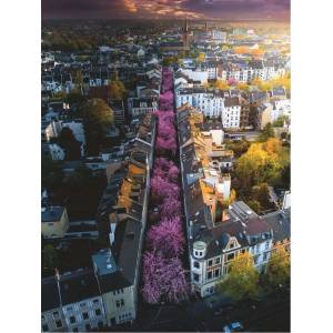Ravensburger - Puzzle Blooming Bonn, Germany - 1 500 piese