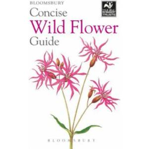 Concise Wild Flower Guide | Bloomsbury (ISBN: 9781472963802)