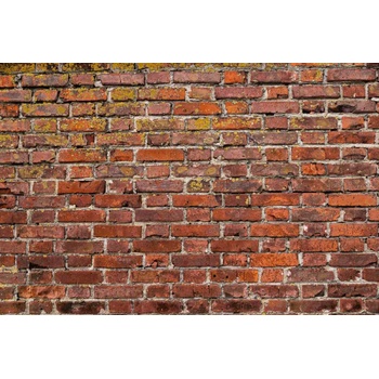 DIMEX ART s. r. o Флизелинов фототапет красива червена тухла 375 x 250 см