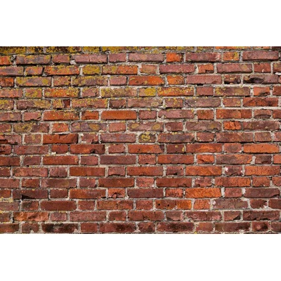 DIMEX ART Флизелинов фототапет красива червена тухла 375 x 250 см