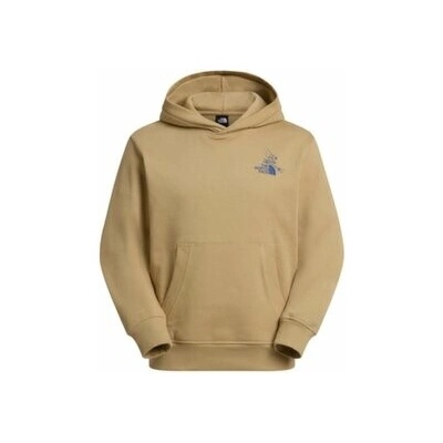 The North Face U Mountain Celebration Relaxed Hoodie-Graphic Men hnedá