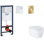 GROHE Rapid SL - Комплект за предстенна инсталация, тоалетна седалка, седалка SoftClose и бутон Arena Cosmopolitan S, четка Cool Sunrise SANI11BB4139 (SANI11BB4139)