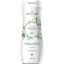 Attitude Super leaves šampón pre suché a poškodené vlasy 473 ml