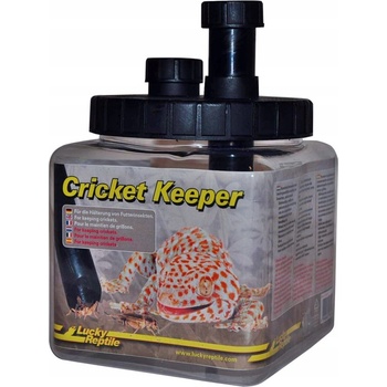 Lucky Reptile Cricket Keeper