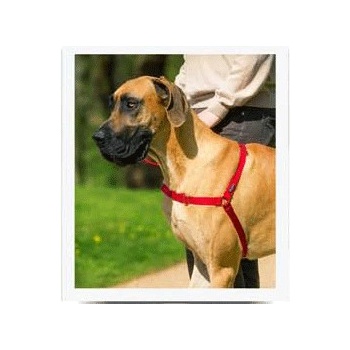 PetSafe Postroj EasyWalk