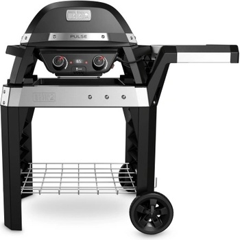 Weber Pulse 2000