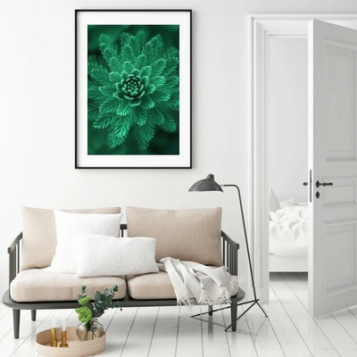 Plakát - Conifer Green, velikost 50x70 cm