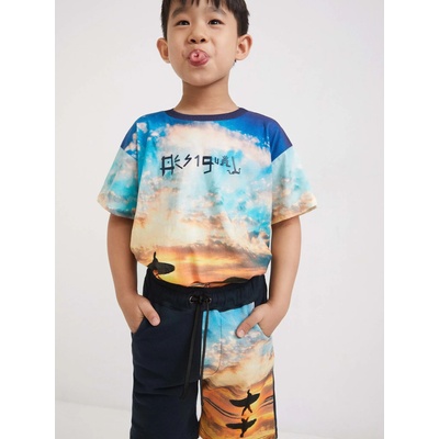 Тъмносини къси панталони за момчета Desigual Angel Desigual | Sin | Момчешки | 122-128