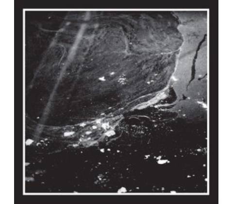 Tav Tav CD