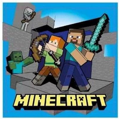 MLC dětský ručník na obličej Minecraft 30 x 30 cm