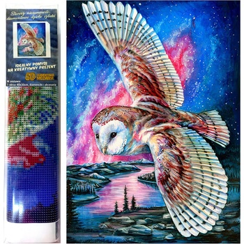 Image 1 of Norimpex - Puzzle Diamant painting: Flight of the owl 30x40cm - 1 - 39 piese