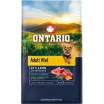 ONTARIO Онтарио Възрастен Мини Агнец и Кафяв Ориз 0, 75 кг