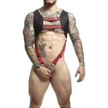 Mob dngeon harness with red penis ring