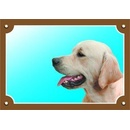 Dafiko Tabulka Zlatý retriever