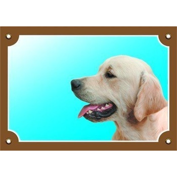 Dafiko Tabulka Zlatý retriever