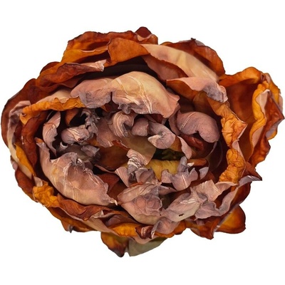 HLAVA PIVONKA ORANŽOVÁ 10CM BAL12KS
