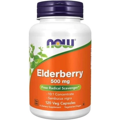 Now Foods Elderberry 500mg 120 vkapsúl