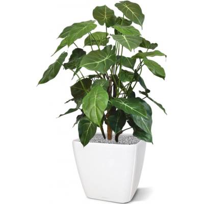 MF Umělá rostlina Syngonium DLX (85cm)