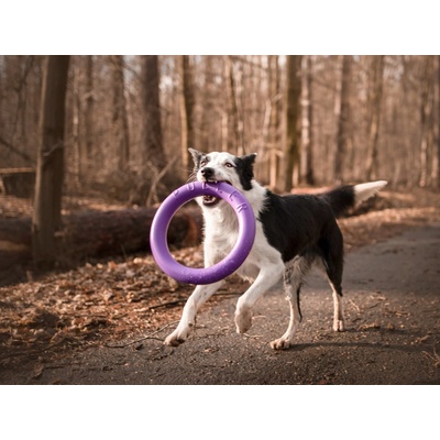 CoLLaR Výcvikové kruhy pro psy PULLER Standard 28/4 cm 2 ks