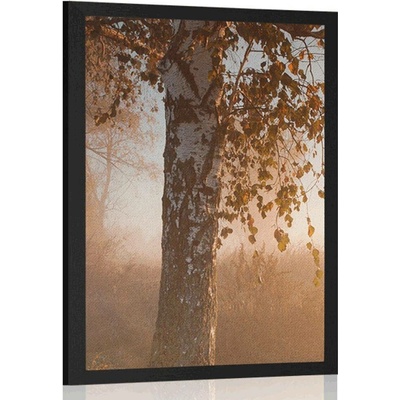 Plakát s paspartou mlhavý podzimní les - 40x60 no frame