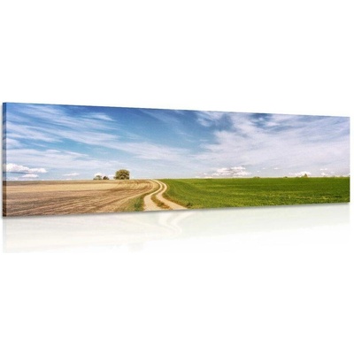 Obraz čarokrásná krajina - 135x45
