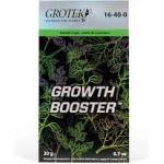  GROWTH BOOSTER 20gr