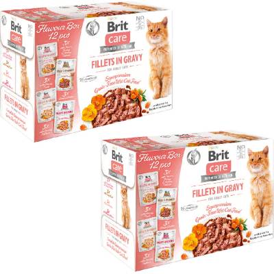 Brit Care Cat Fillet in Gravy krůta kachna losos a kuře 12 x 85 g