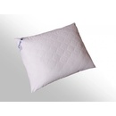2G vankúš Clivie 430g 50x40