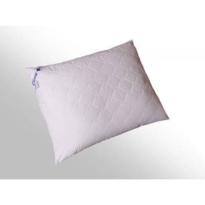 2G vankúš Clivie 430g 50x40
