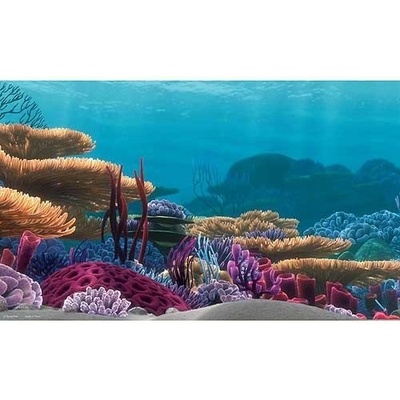 Penn Plax Nemo pozadí Hledá se Nemo 51 x 30,50 cm