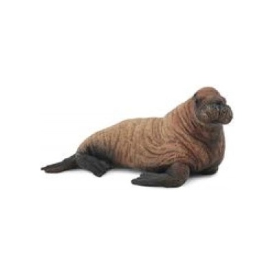 CollectA Mors młody