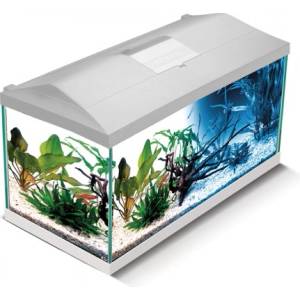 AQUAEL Аквариум Aquael Leddy Day&Night Plus 75 - бял (7061)