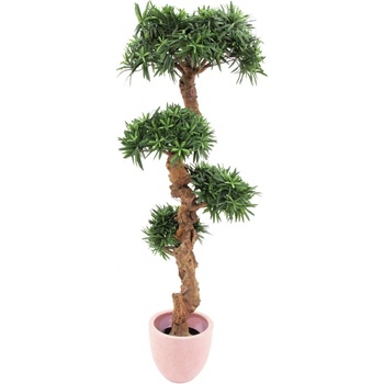Bonsai palma s 4800 listy 120cm