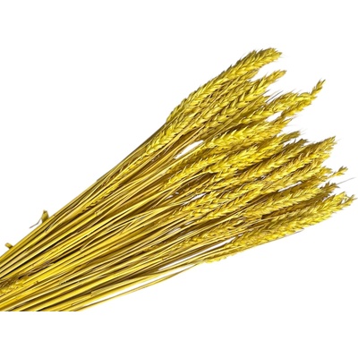 Sušené klasy pšeničné 150g - žlté