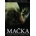 Mačka