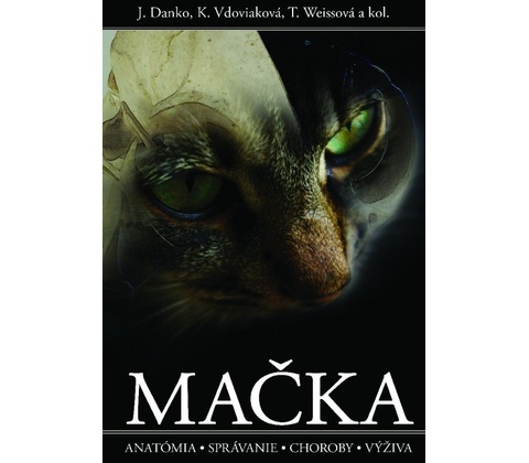 Mačka