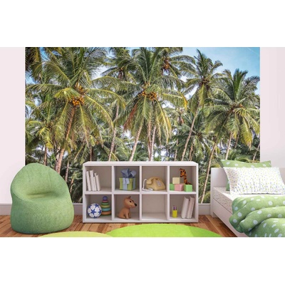DIMEX ART Самозалепваща се флизелинова фототапета палма с кокос 375 x 250 см