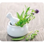 Wenko Стъклен капак Herb, 50 x 56 cm Herb Garden - Wenko (2712940500)