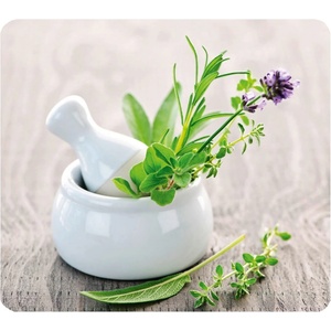 Wenko Стъклен капак Herb, 50 x 56 cm Herb Garden - Wenko (2712940500)
