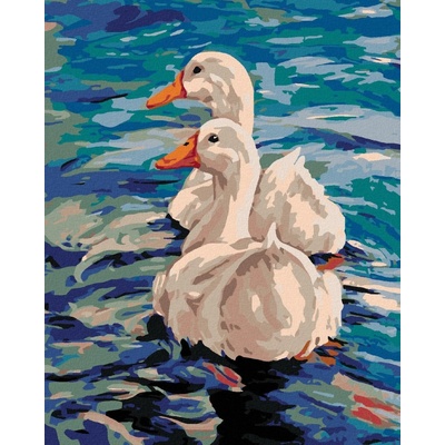 zuty Malování podle čísel Dvě kachny na vodě 80 x 100 cm bez rámu a bez vypnutí plátna 8596530013068