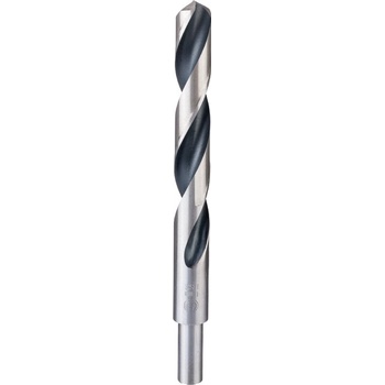 Bosch 2608577313