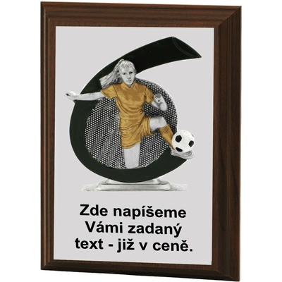 VIZINGR Nohejbal žena plaketa H120-L381