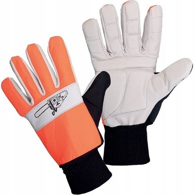 Canis CXS TEMA