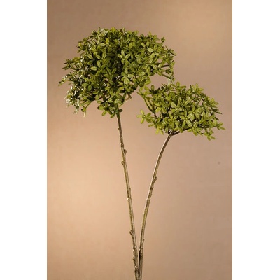 Paramit DRY CROWN FLOWER Aranžovací květina zelená 71 cm