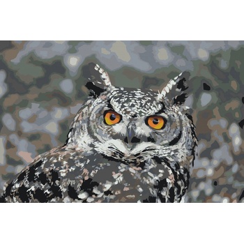 Vymalujsisam Malování podle čísel Sova 3