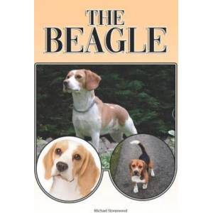 The Beagle: A Complete and Comprehensive Beginners Guide To: Buying, Owning, Health, Grooming, Training, Obedience, Understanding | Michael Stonewood (ISBN: 9781090623386)