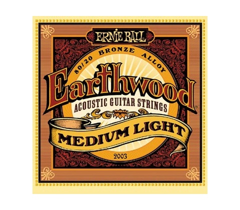 Ernie Ball 2003